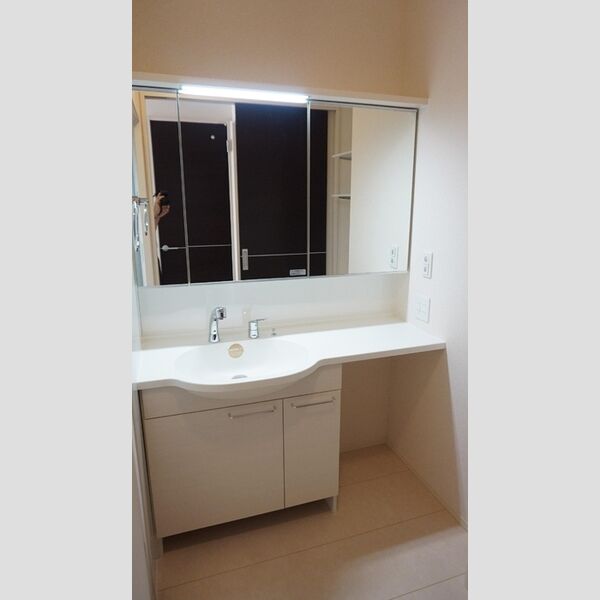 洗面所 (洗髪洗面化粧台)