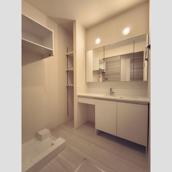 洗面所 (洗面所)