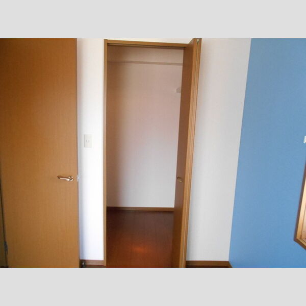 収納 (ウォークインクローゼット)