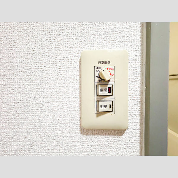 バス