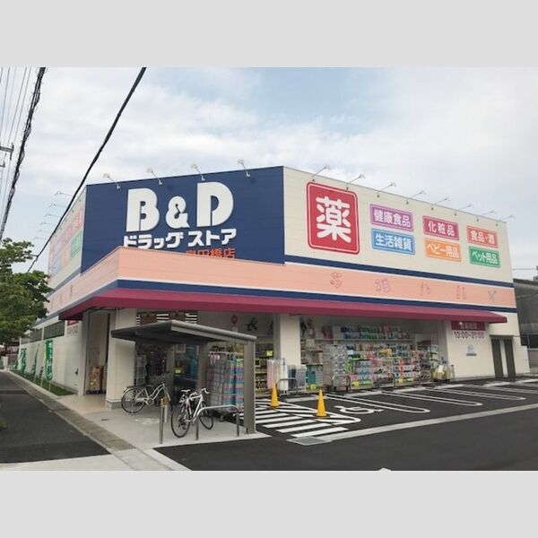 現地周辺 (B&Dドラッグストア島田橋店)