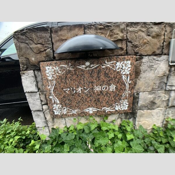 現地周辺 (アパート名盤)