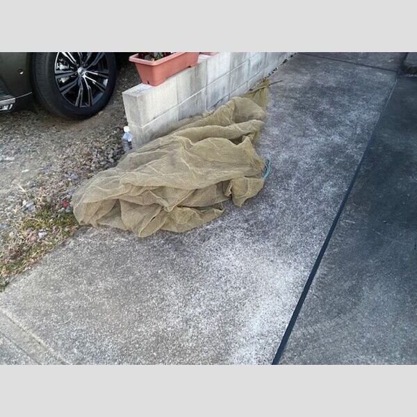 現地周辺 (ゴミ置き場)