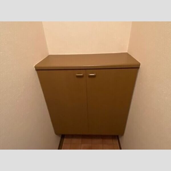 玄関 (シューズボックス)