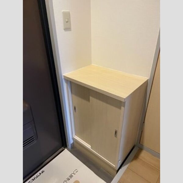 玄関 (シューズボックス)