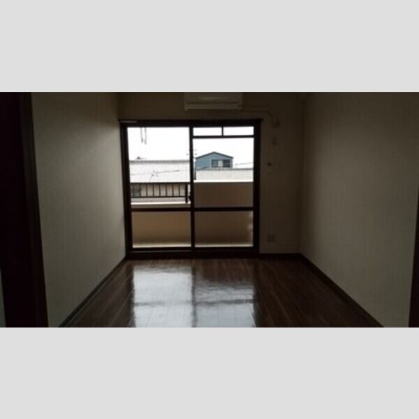 その他 (南西洋室)