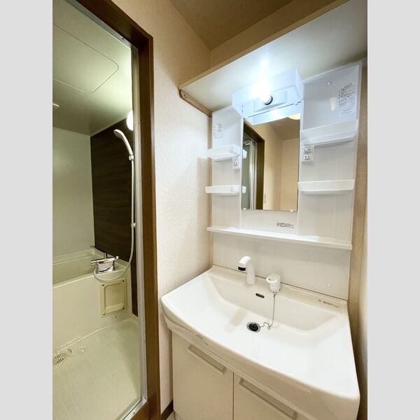 洗面所 (洗面台)