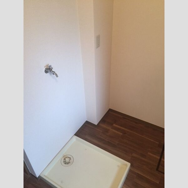 洗面所 (室内洗濯機置場)