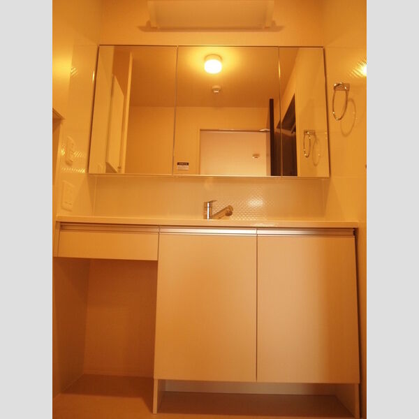 洗面所 (洗髪洗面化粧台)