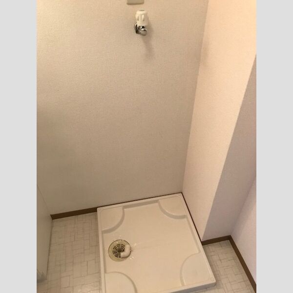 洗面所 (室内洗濯機置場)