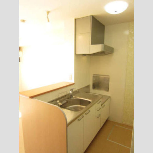 収納 (対面式キッチン・床下収納庫)