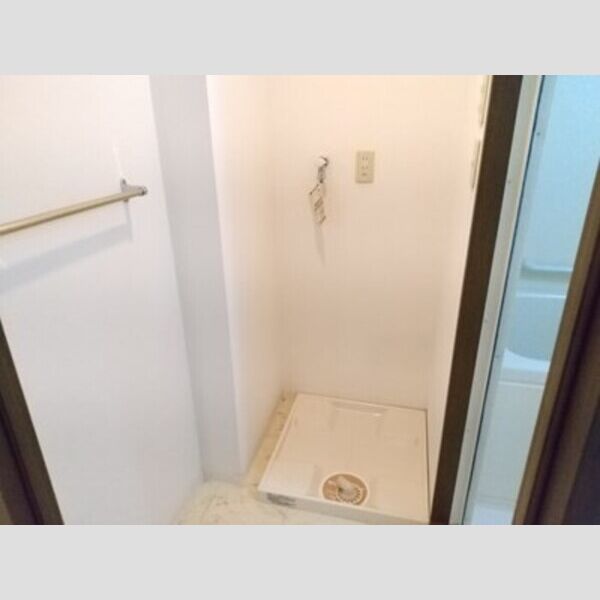 洗面所 (室内洗濯機置場)