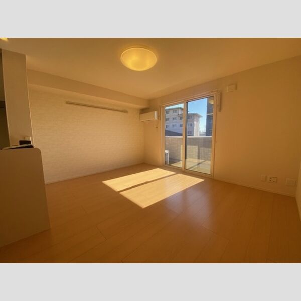 その他 (洋室　照明付き)