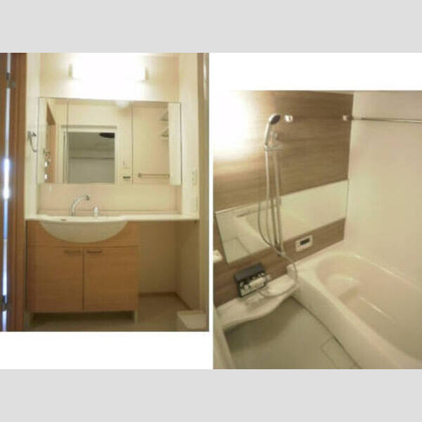 洗面所 (洗髪洗面化粧台/一坪風呂)