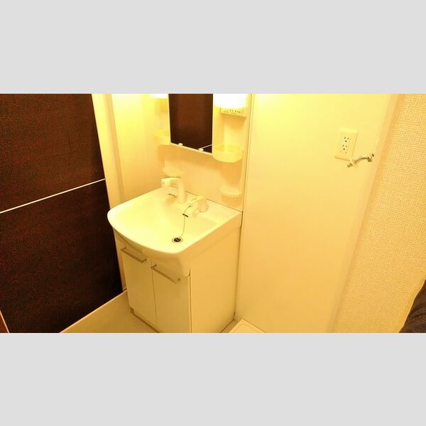 洗面所 (洗髪洗面化粧台、防水パン付き)