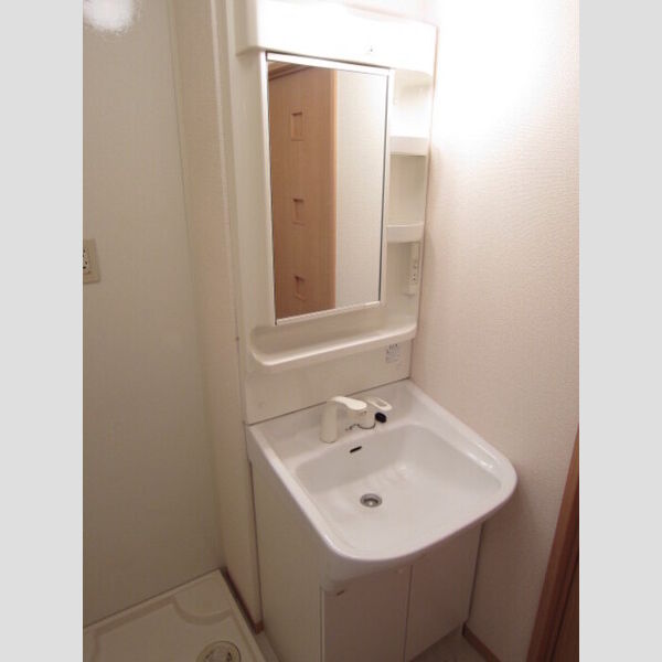 洗面所 (洗髪洗面化粧台)