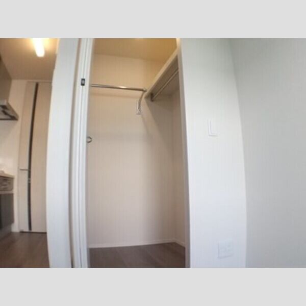 収納 (ウォークインクローゼット)