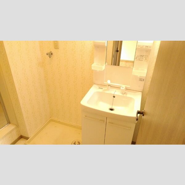 洗面所 (洗髪洗面化粧台、洗濯パン)