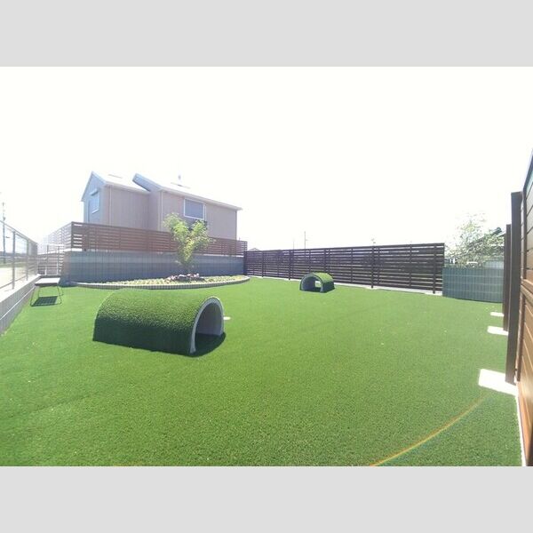 現地周辺 (ドックラン(共有スペース))