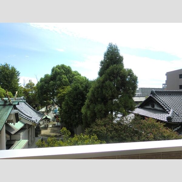 現地周辺 (眺望)