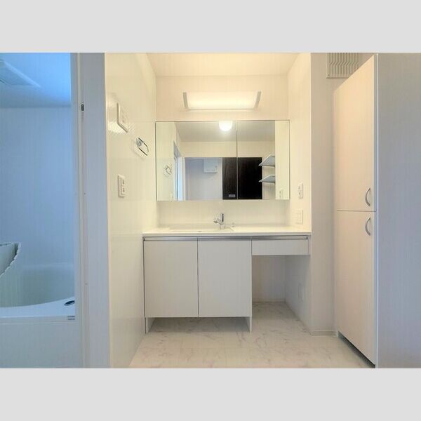 洗面所 (洗髪洗面化粧台)