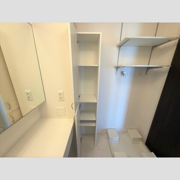 収納 (洗面室物入)