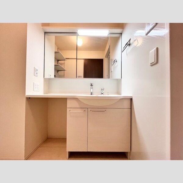 洗面所 (洗髪洗面化粧台)