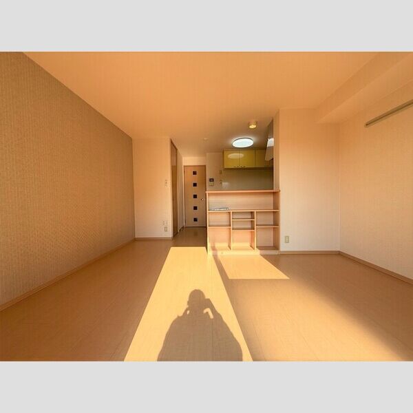 居室・リビング (LDK)