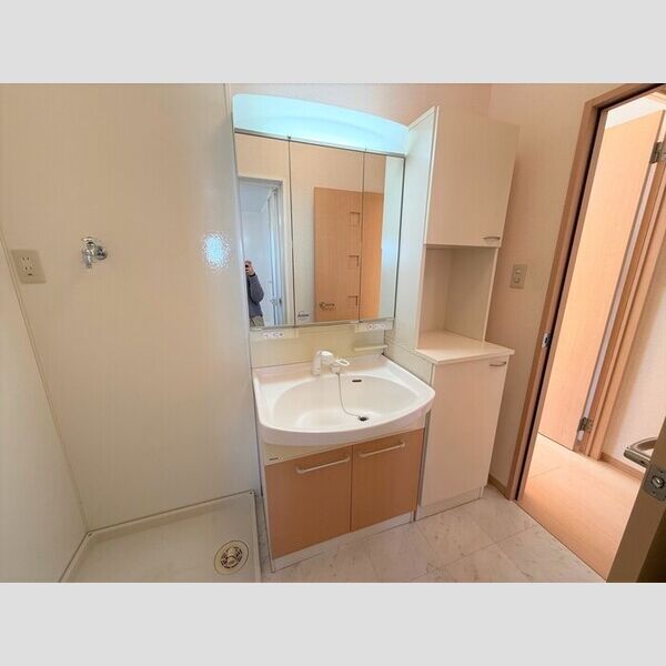 洗面所 (洗髪洗面化粧台)