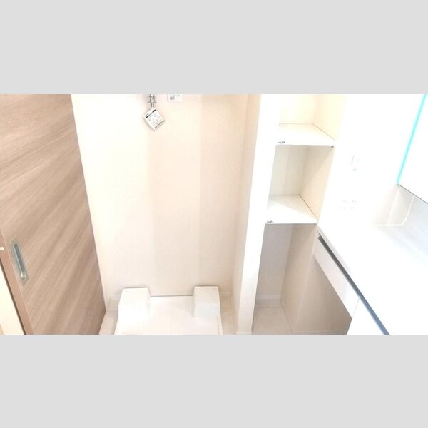 その他 (室内洗濯機置場)