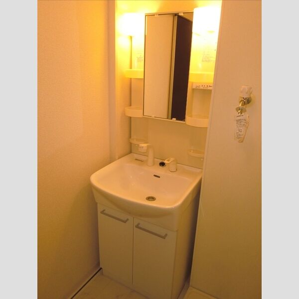 洗面所 (洗髪洗面化粧台)