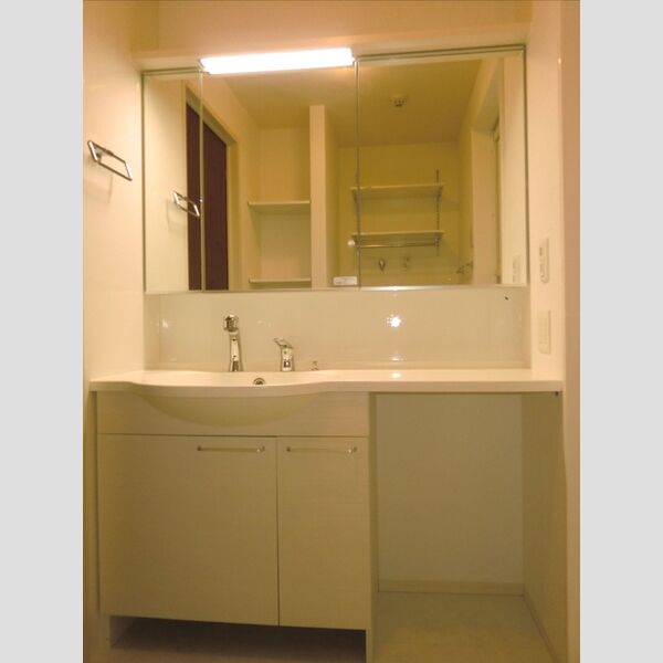 洗面所 (洗髪洗面化粧台)