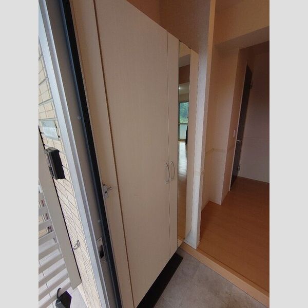 玄関 (シューズボックス)