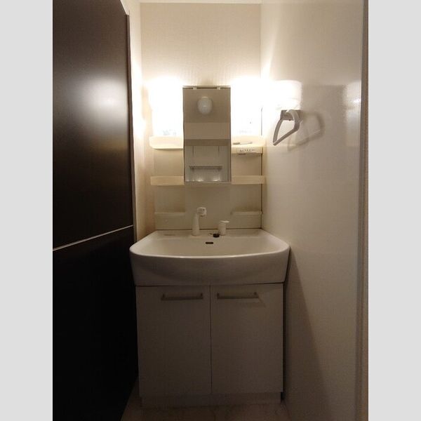 洗面所 (洗髪洗面化粧台)