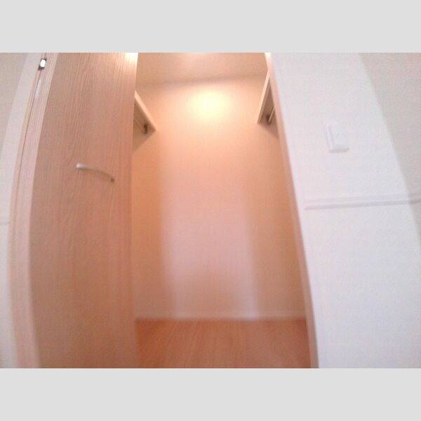 収納 (クローゼット(東側洋室))