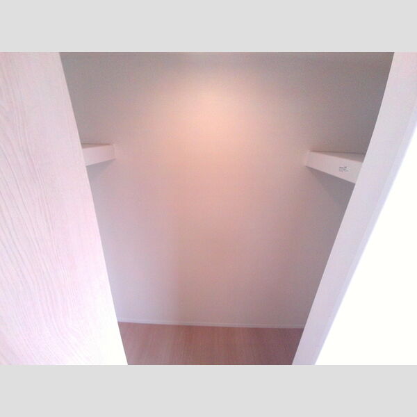 収納 (北側洋室ウォークインクローゼット)