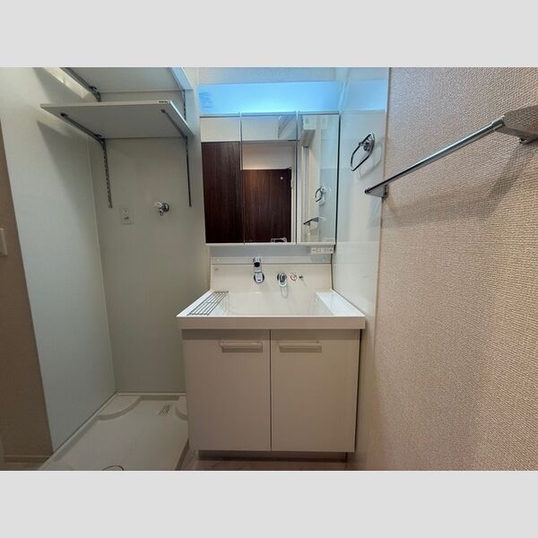 洗面所 (洗髪洗面化粧台)