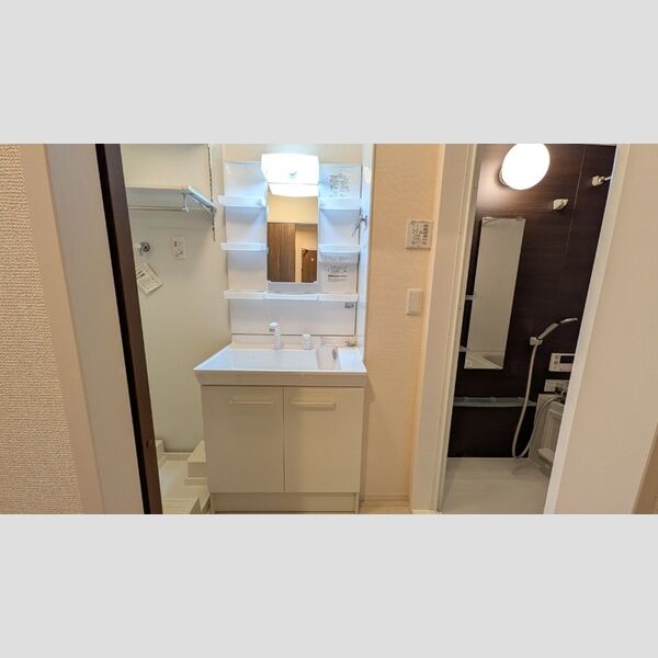 洗面所 (洗髪洗面化粧台)