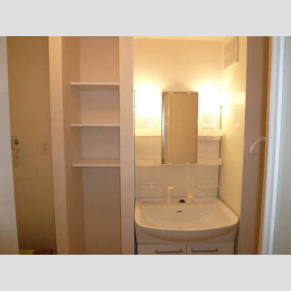 その他 (クレセントⅥ101)