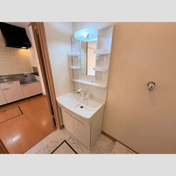 洗面所 (洗髪洗面化粧台)