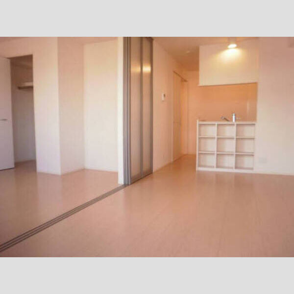 居室・リビング (LDK)