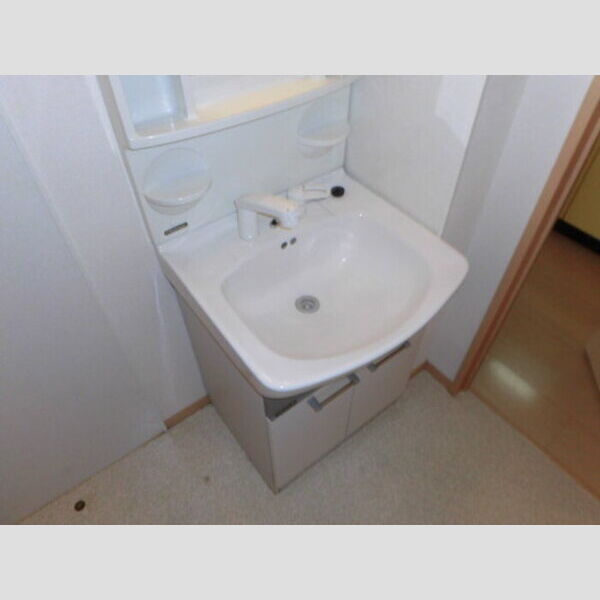 洗面所 (洗髪洗面化粧台)