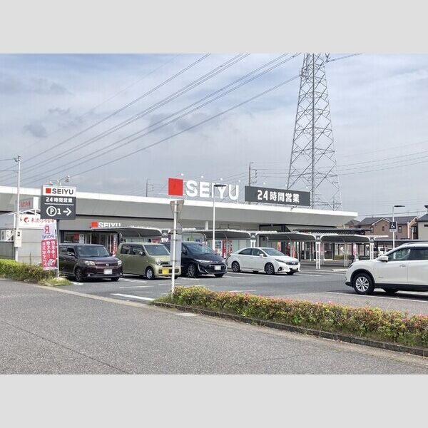 現地周辺 (西友松河戸店(427m))