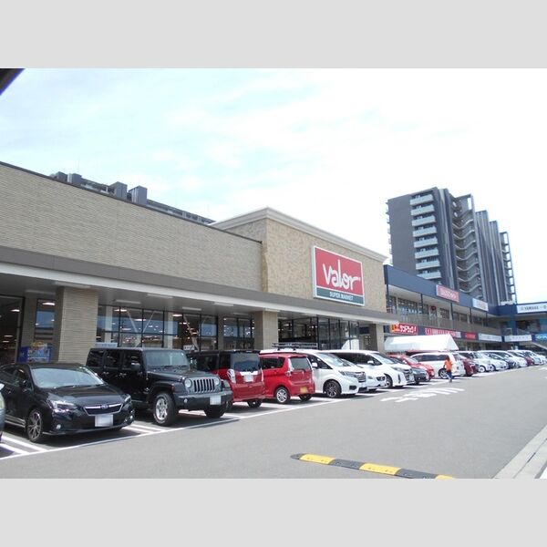現地周辺 (バロー勝川店(694m))