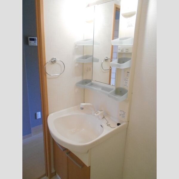 洗面所 (洗髪洗面化粧台)