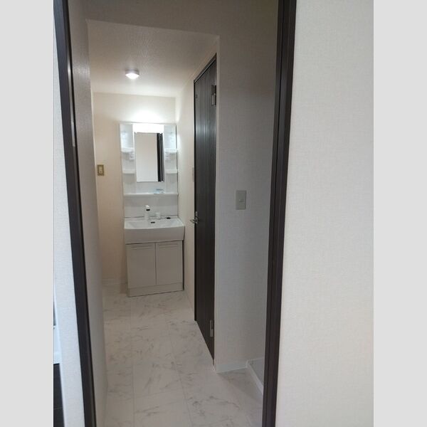 洗面所 (洗髪洗面化粧台)