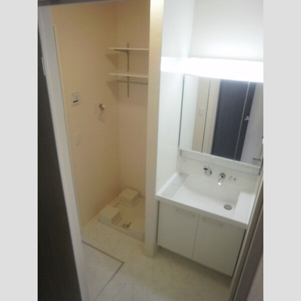 洗面所 (洗髪洗面化粧台・室内洗濯機置き場)