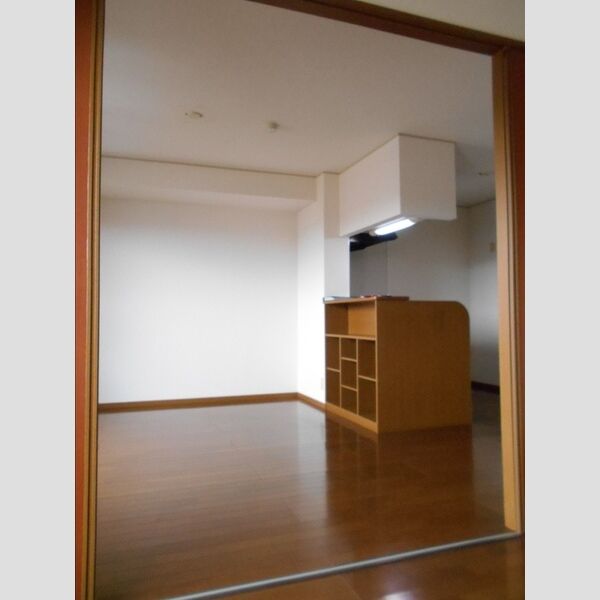 居室・リビング (LDK)