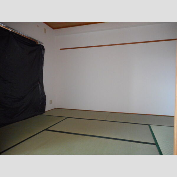 その他 (南和室です)