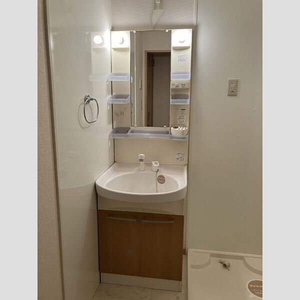 洗面所 (洗髪洗面化粧台・室内洗濯機置き場)